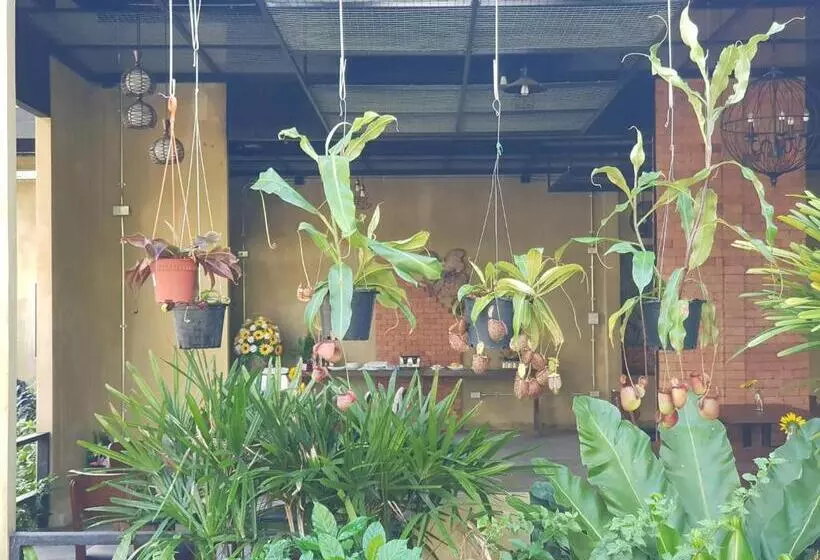 Palm Pran Resort