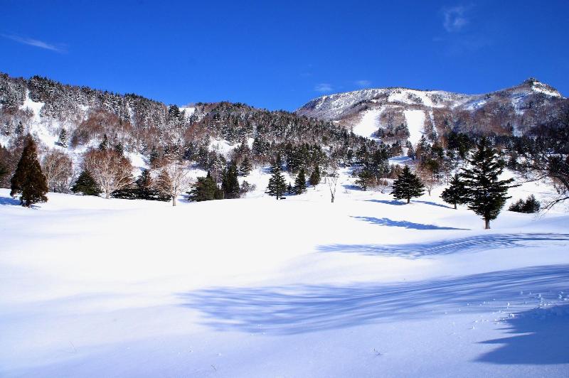 Hotel Spa Lodge Redwood Inn