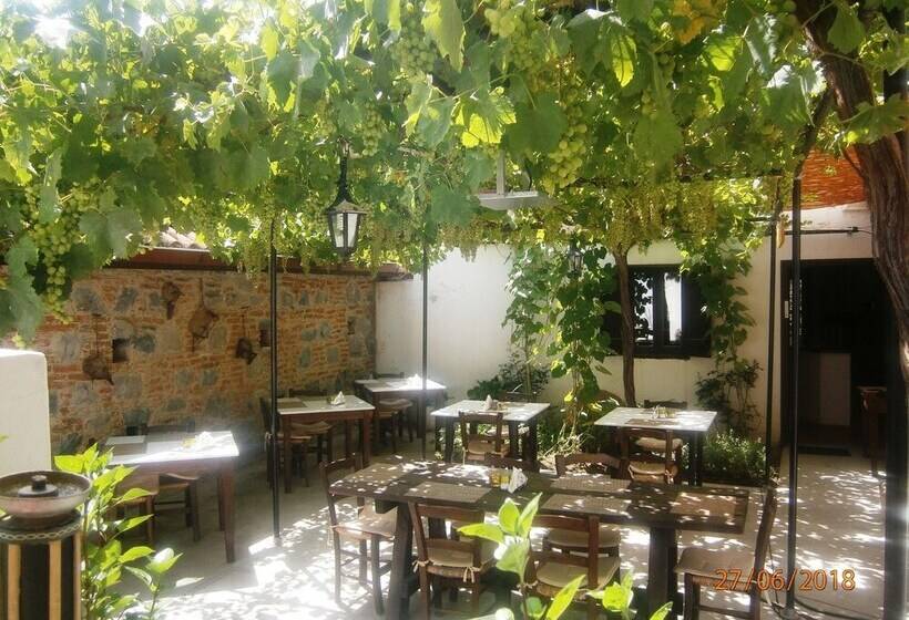 酒店 Ambelikos Traditional Agro