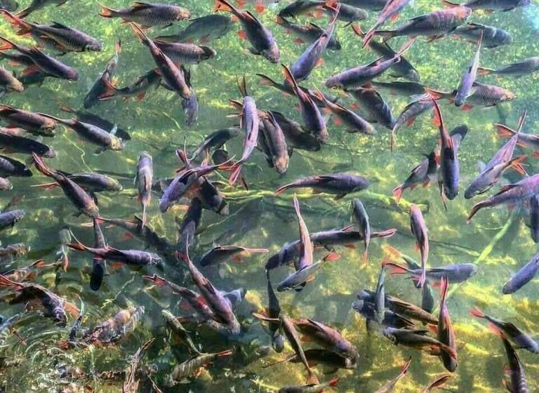 Otel Baan Suan Siriwat