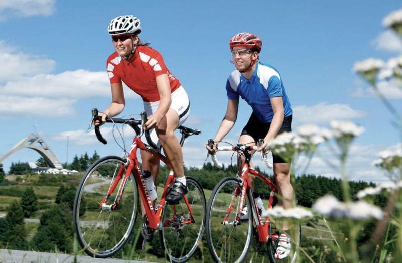 Отель Donauhof Mauthausen