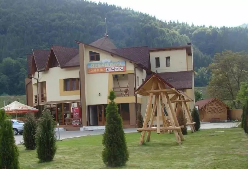 ホテル Pensiunea Floare De Colt