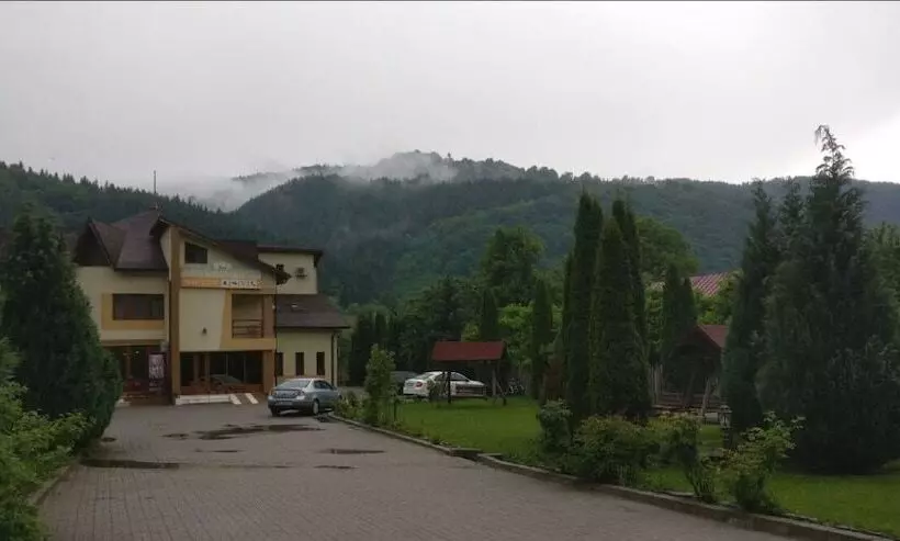 ホテル Pensiunea Floare De Colt