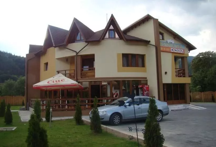 ホテル Pensiunea Floare De Colt