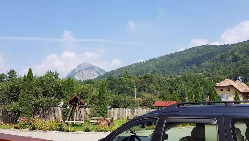 ホテル Pensiunea Floare De Colt