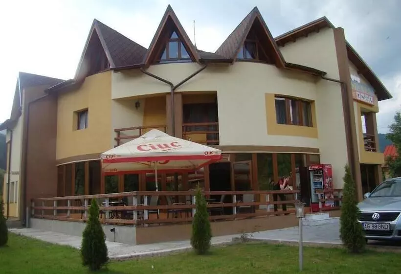 ホテル Pensiunea Floare De Colt