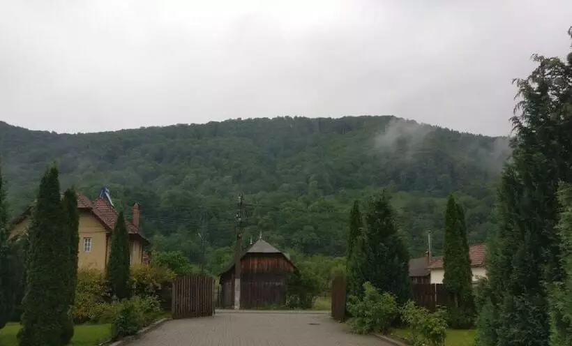 ホテル Pensiunea Floare De Colt