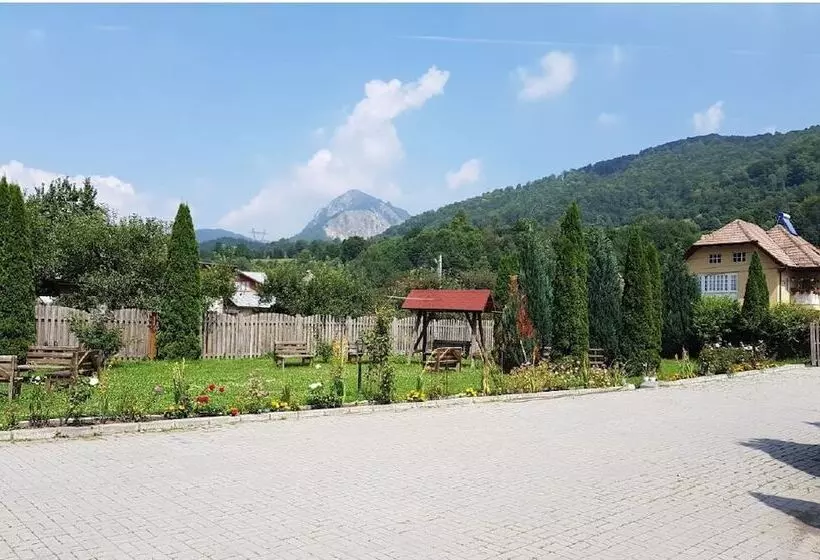 ホテル Pensiunea Floare De Colt