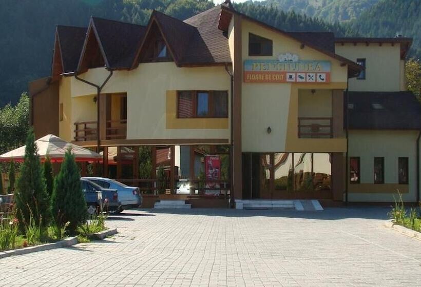 فندق Pensiunea Floare De Colt