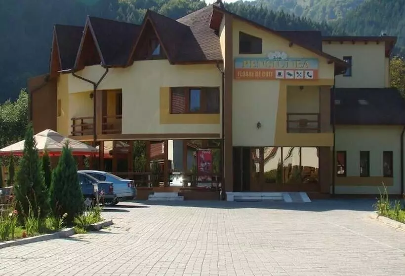 ホテル Pensiunea Floare De Colt