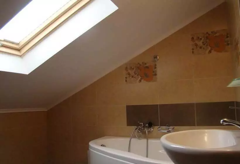 ホテル Pensiunea Floare De Colt