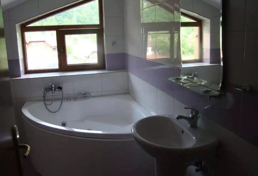 ホテル Pensiunea Floare De Colt