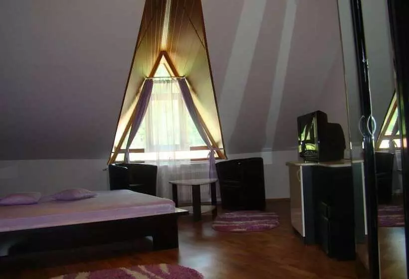 ホテル Pensiunea Floare De Colt