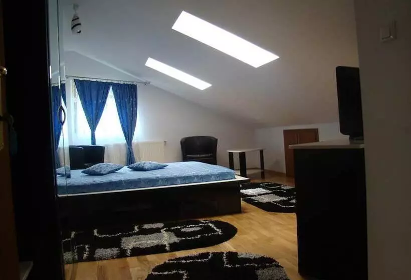 ホテル Pensiunea Floare De Colt