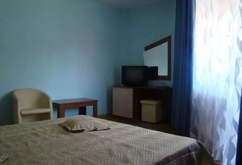 ホテル Pensiunea Floare De Colt