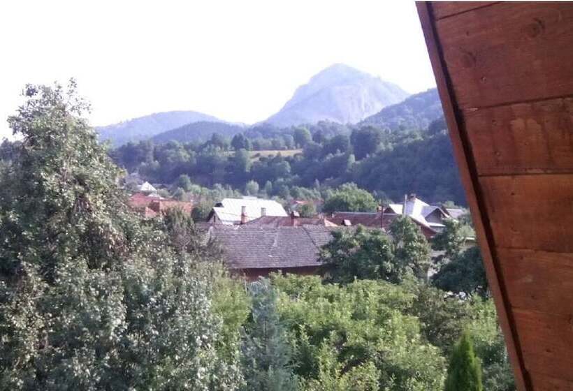 فندق Pensiunea Floare De Colt