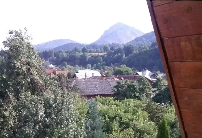 ホテル Pensiunea Floare De Colt