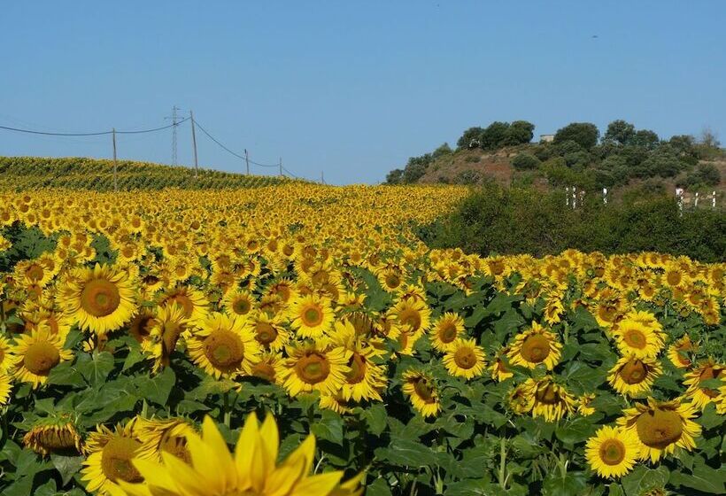 Idyllic Country House In The Foothills Of The Pyrenees