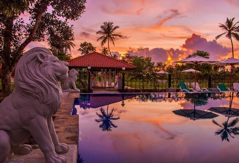 בית מלון כפרי The Notary's House