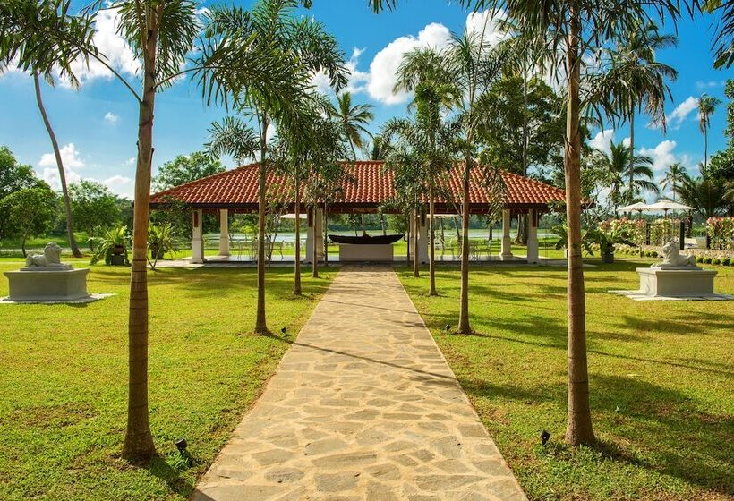 בית מלון כפרי The Notary's House