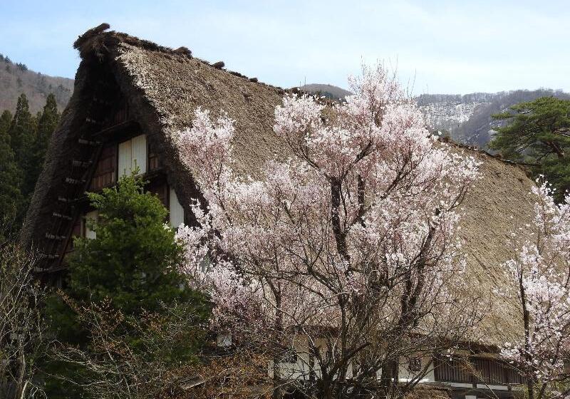 Ryokan Onyado Yuinosho