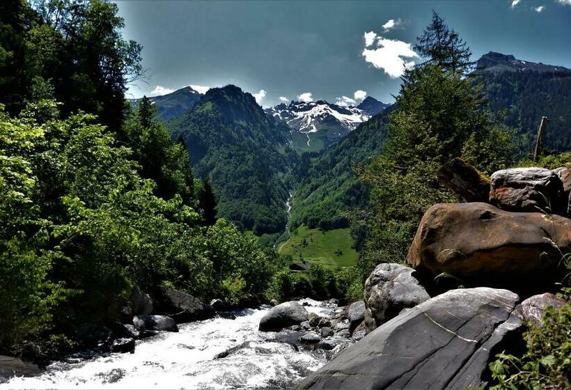 Aktivhostel Hängematt