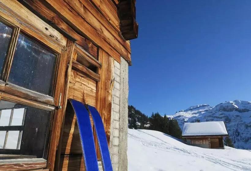 Aktivhostel Hängematt