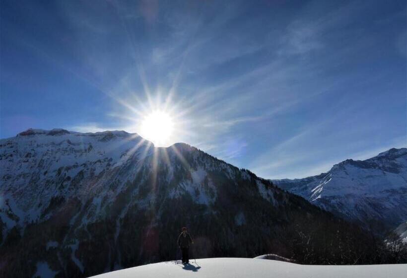 Aktivhostel Hängematt