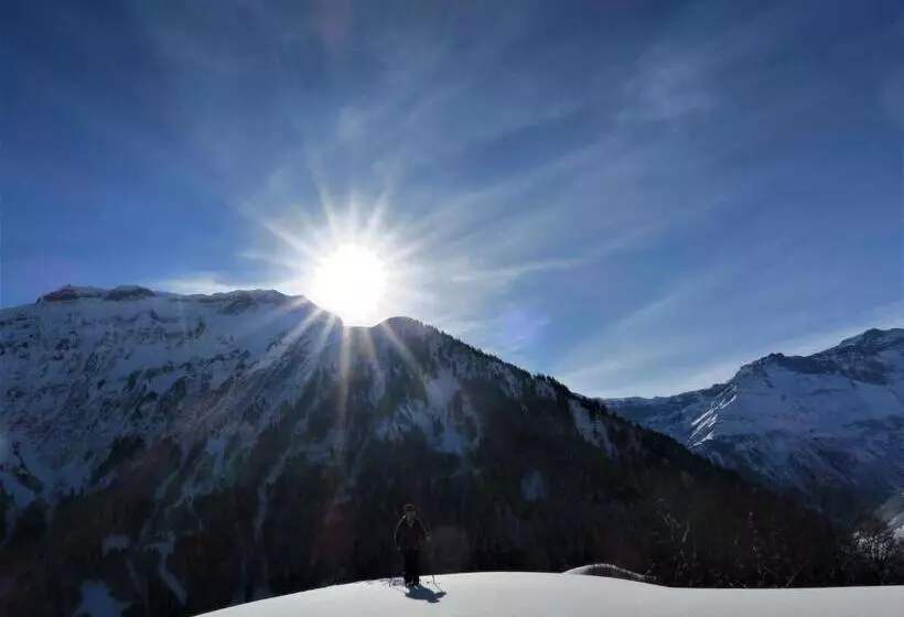 Aktivhostel Hängematt