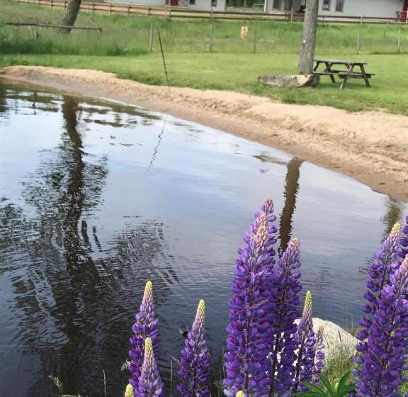 B & B Flattinge Fritidshus