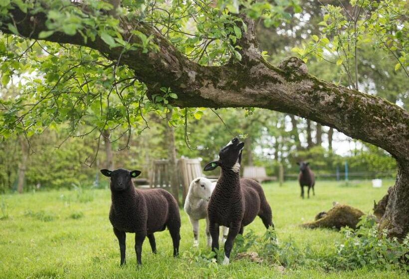 B&b Buitenplaats Natuurlijk Goed