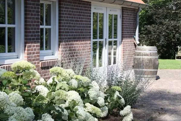 B&b Buitenplaats Natuurlijk Goed