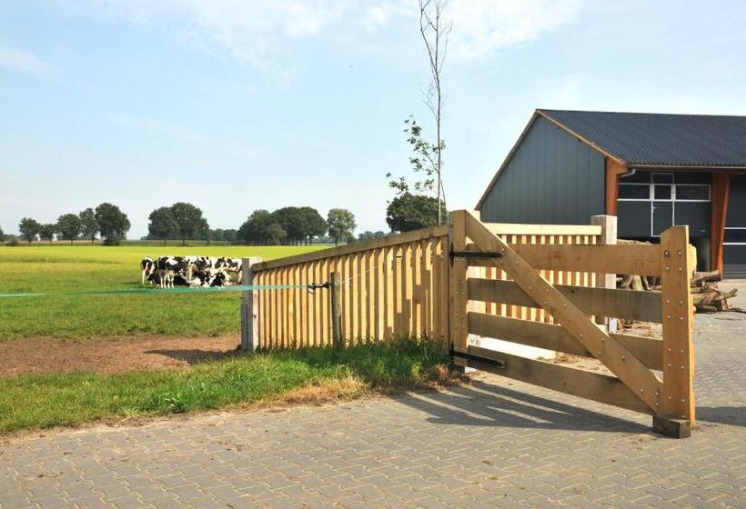 Bed and Breakfast Erve 't Hacht