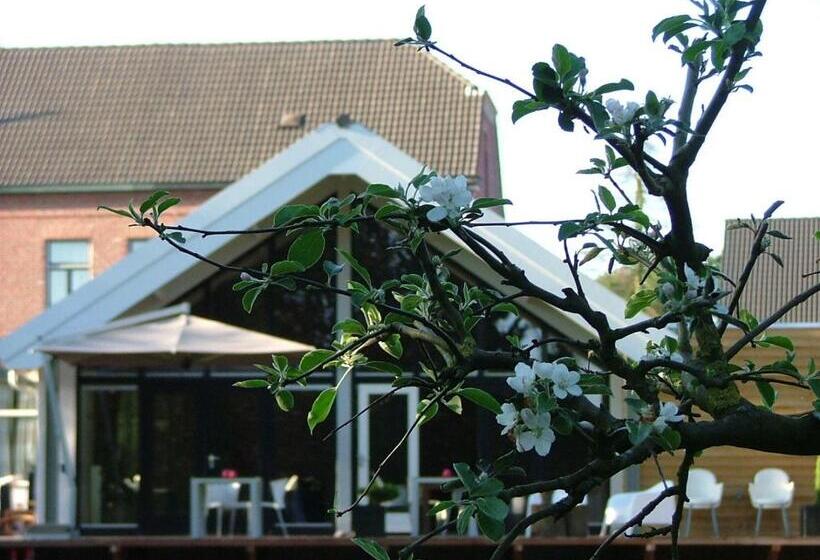 צימר Rosa Arvensis