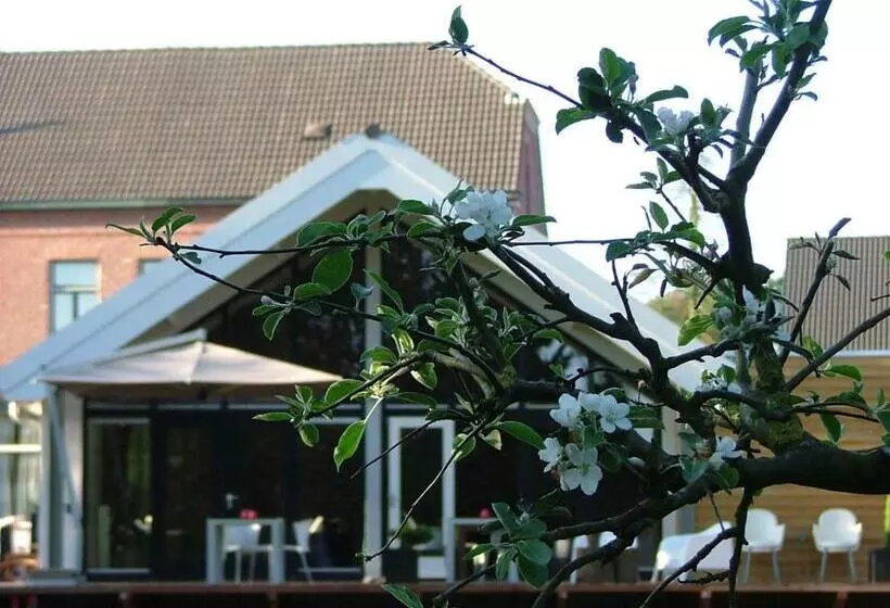 Aamiaismajoitus (B&B) Rosa Arvensis