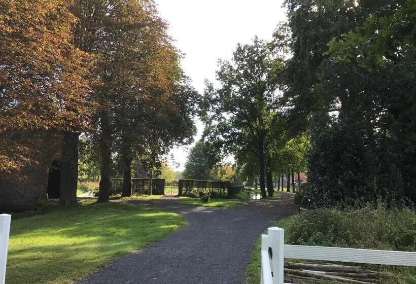 צימר Rosa Arvensis