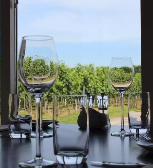 Bed and Breakfast Wijngaard Saalhof