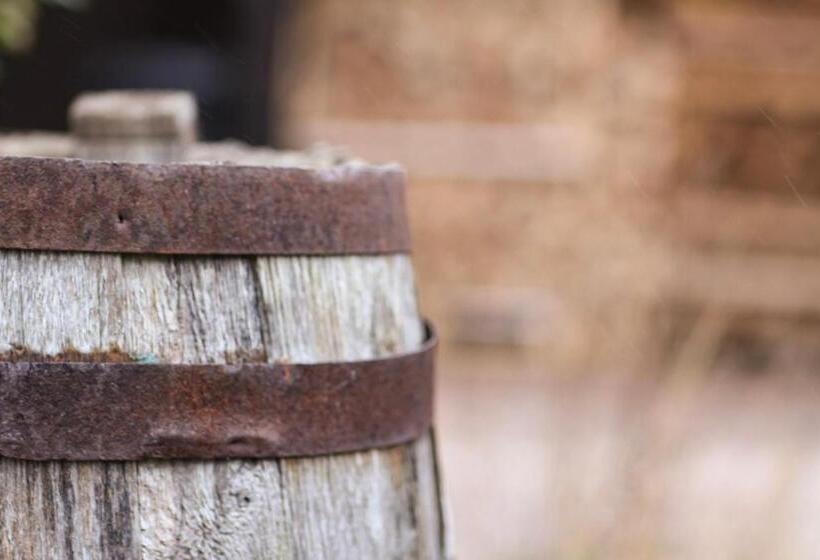 مبيت وإفطار Wijngaard Saalhof