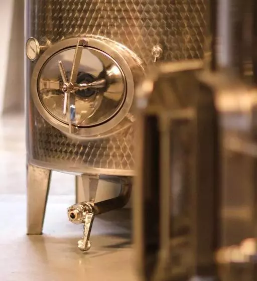 Bed and Breakfast Wijngaard Saalhof