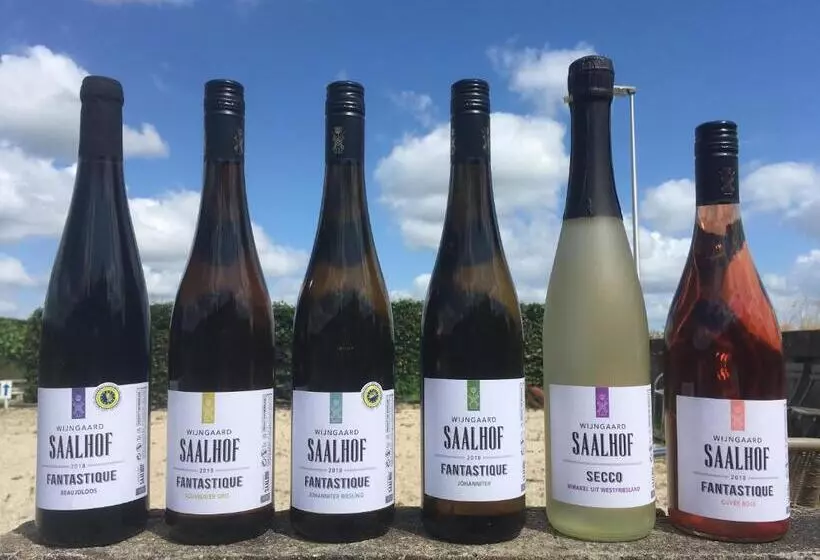 Bed and Breakfast Wijngaard Saalhof