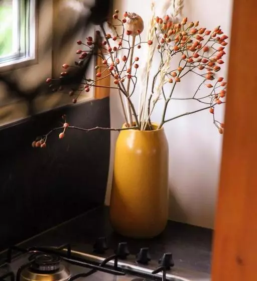 Bed and Breakfast Wijngaard Saalhof