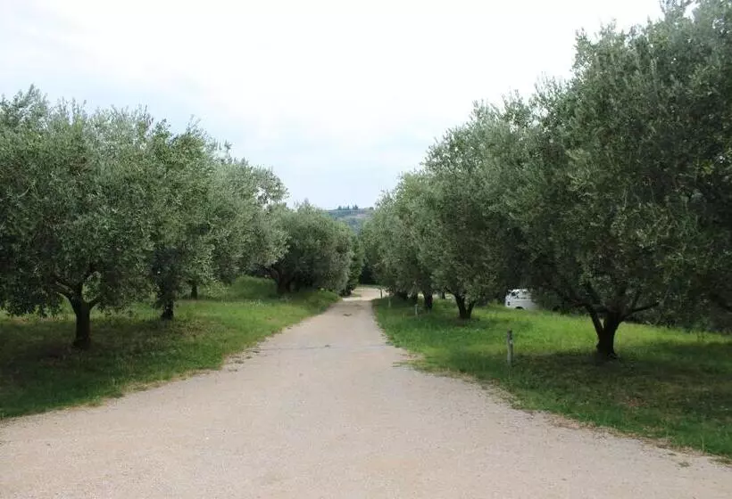 ホテル Agriturismo Spigolo