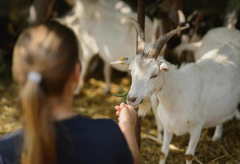 فندق Agriturismo Spigolo