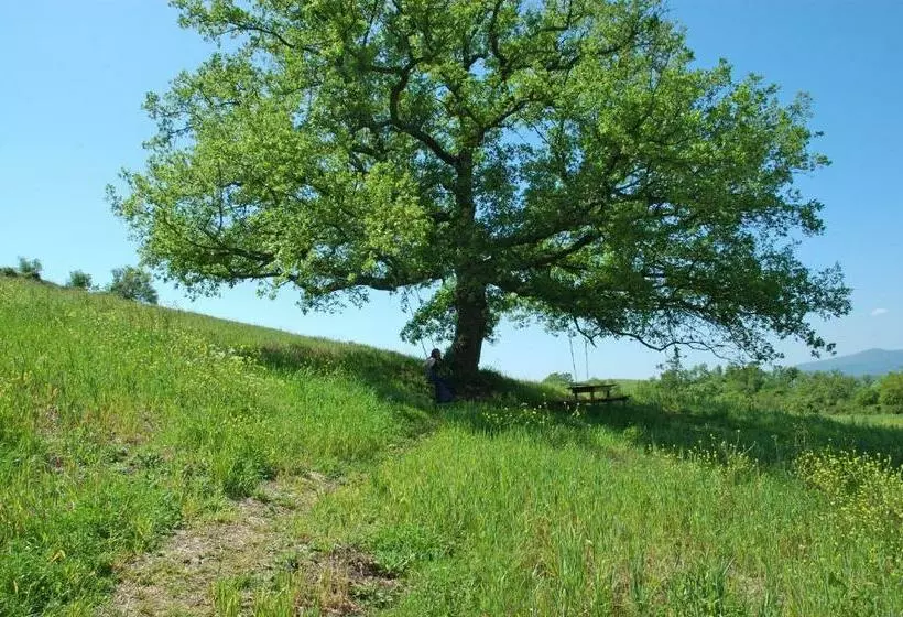 ホテル Podere Santa Maria