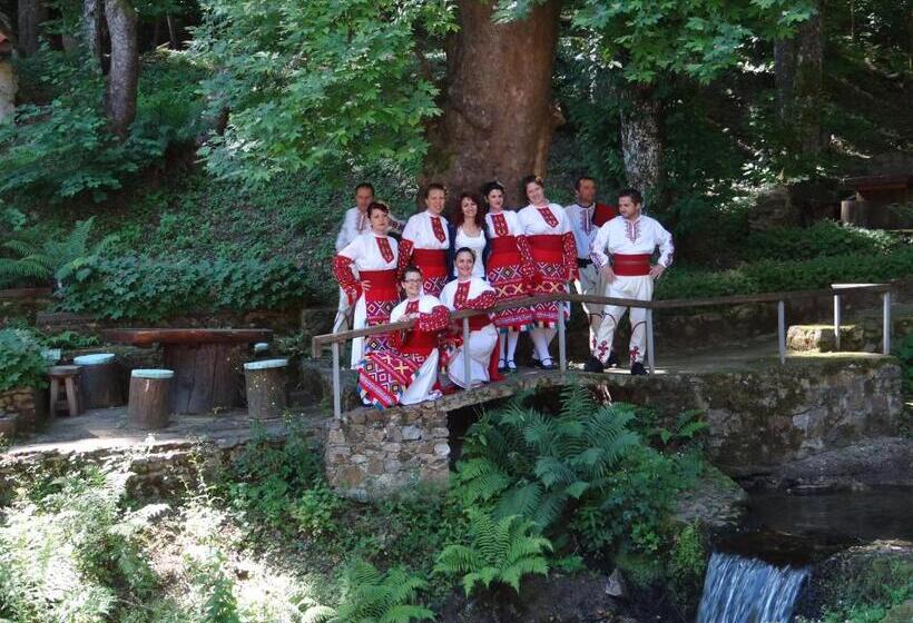 酒店 Saint Nedelya