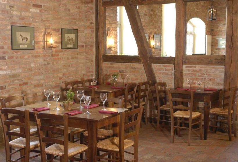 ホテル Schloss & Gut Ulrichshusen