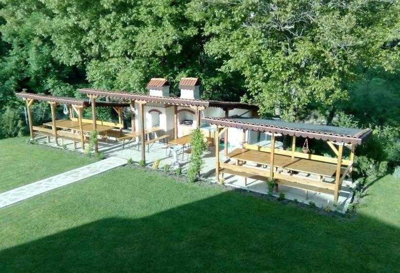 פנסיון Aleksandrina