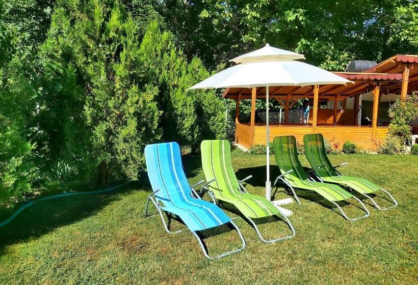 פנסיון Aleksandrina