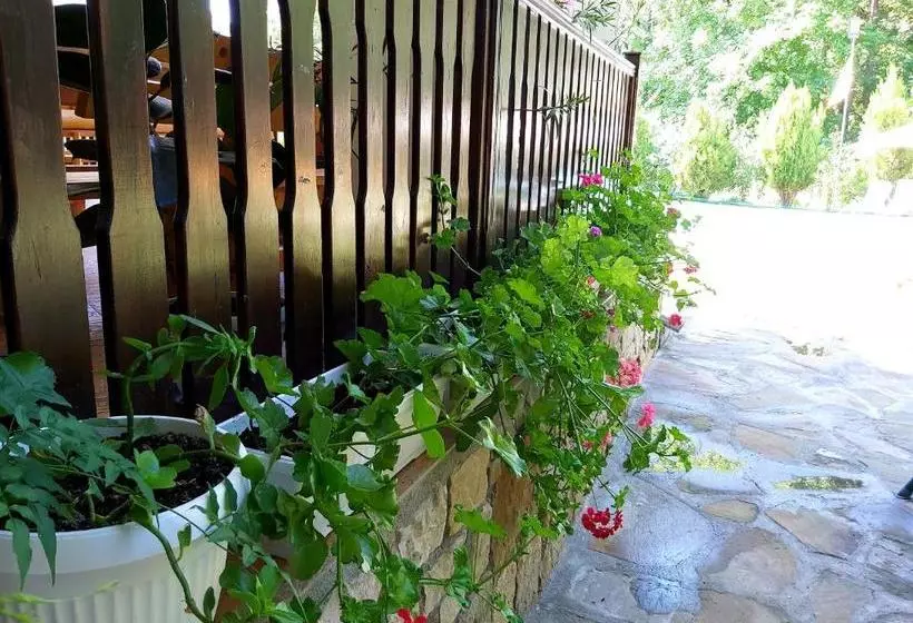 Majatalo Aleksandrina