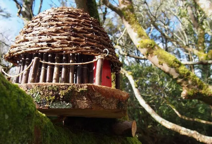 Retkeilymaja The Valley House